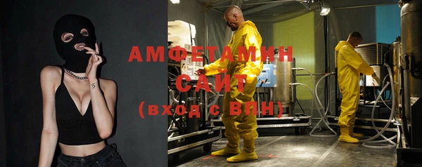 индика Заволжье