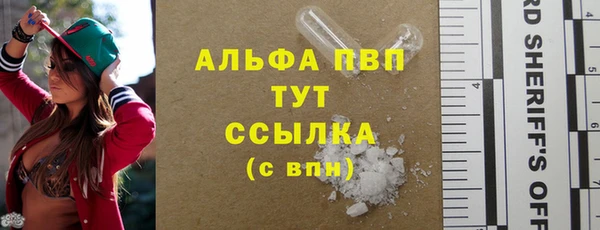 индика Заволжье