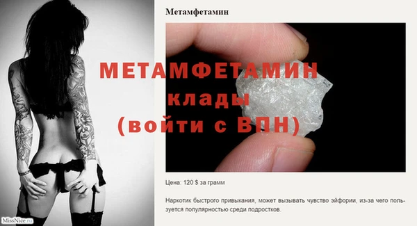 индика Заволжье