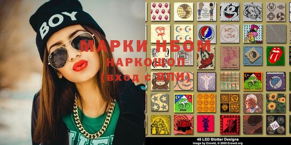 индика Заволжье
