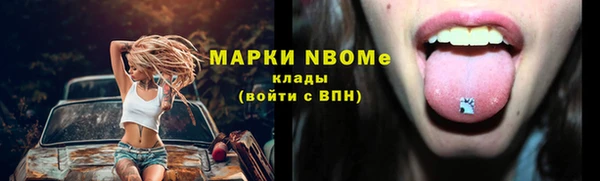индика Заволжье