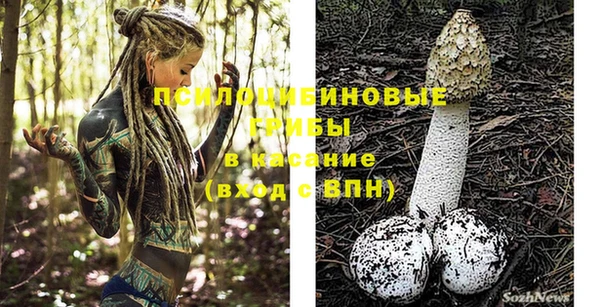 амф Заводоуковск