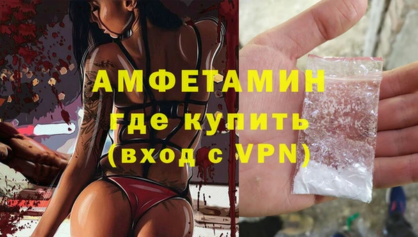 индика Заволжье