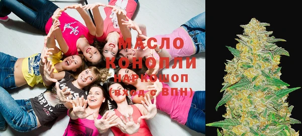 индика Заволжье