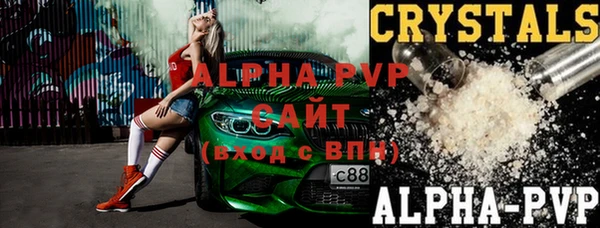 индика Заволжье