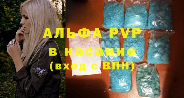 индика Заволжье