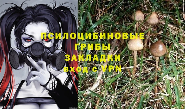 индика Заволжье