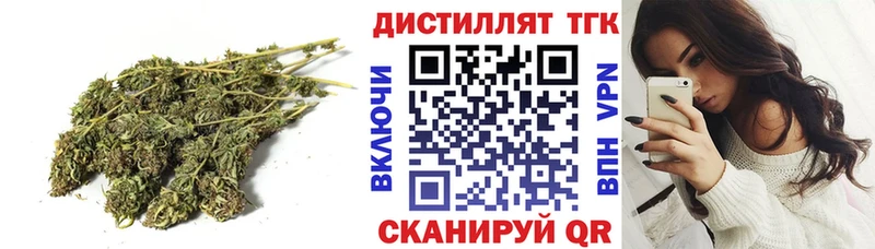 Купить закладки  Верея  Дистиллят ТГК гашишное масло 