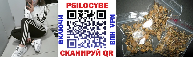 Галлюциногенные грибы GOLDEN TEACHER  Купить  Верея 